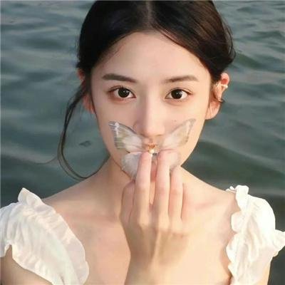中佬万里路 海报